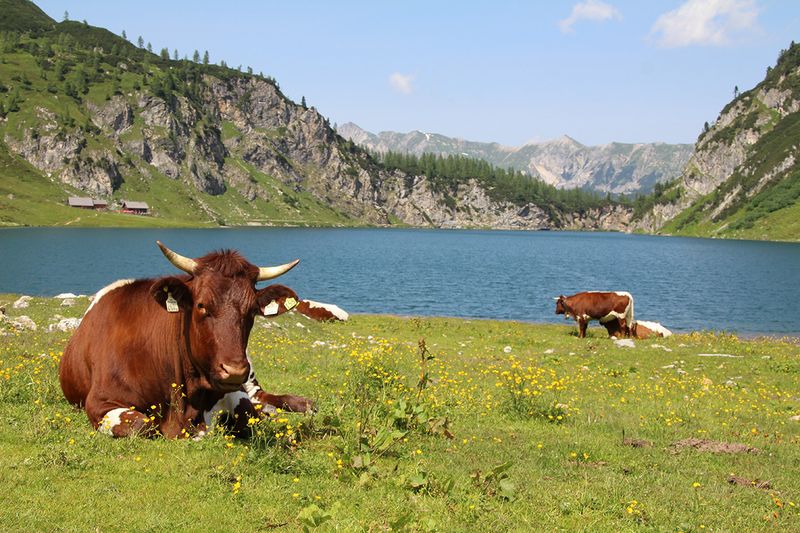 Tappenkarsee